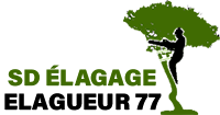 elagage-sd-elagage